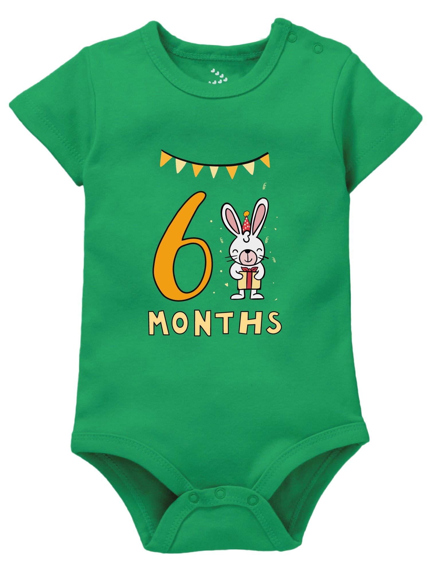 6 Months Birthday - Onesie