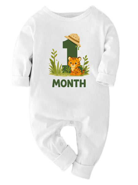 Safari Animal Theme 1 To 12 Monthly Birthday
