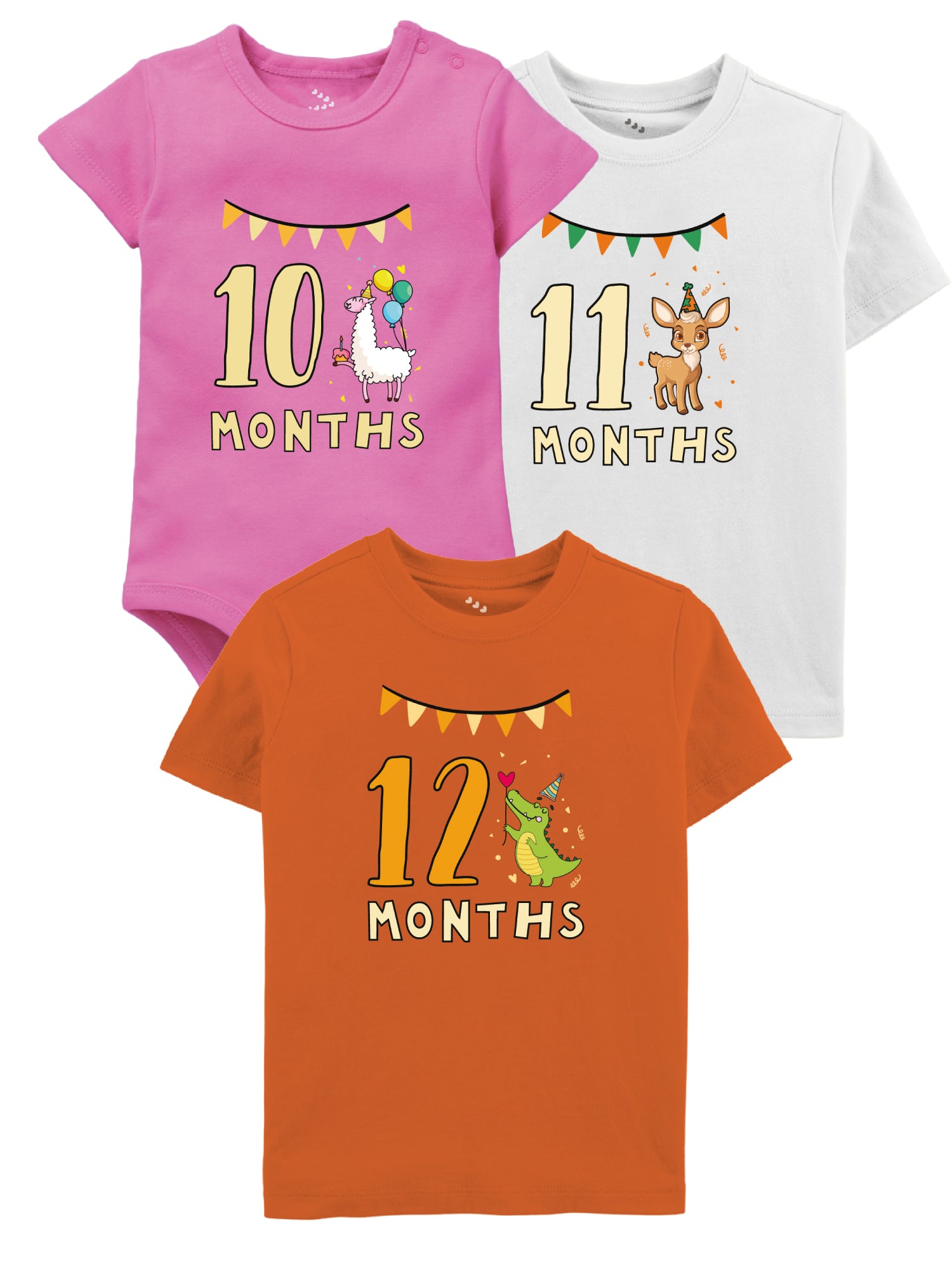 10-11-12 Month Birthday Set - Onesie