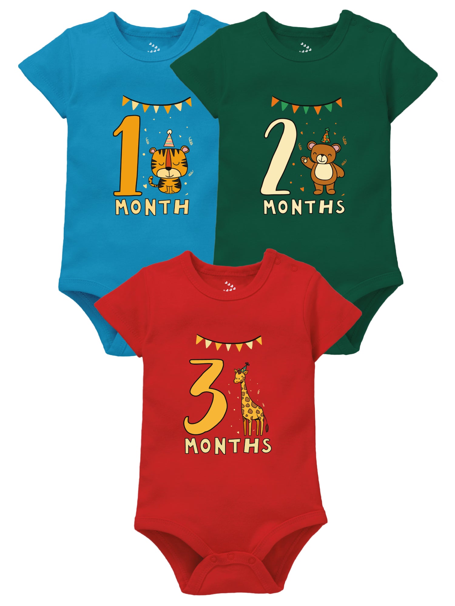 1-2-3 Month Birthday Set - Onesie