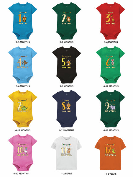Animal Theme Monthly Birthday - Onesie/Tee