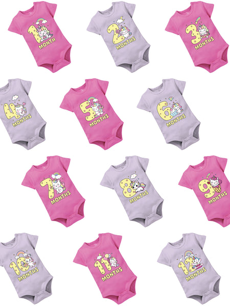 Unicorn Theme 1 To 12 Monthly Birthday